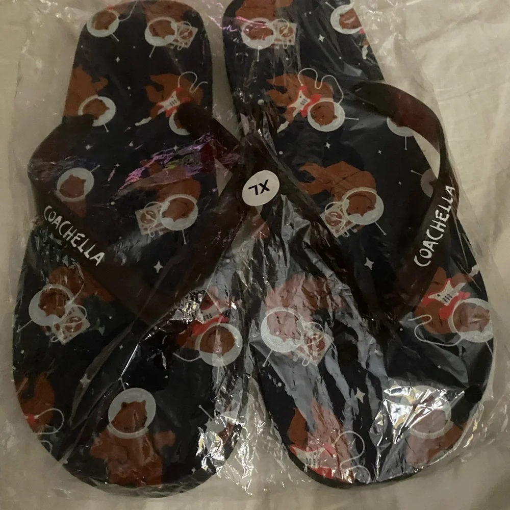 Coachella Music Festival Flip Flops New Sealed Bag Sz XL Black Red Brown White.